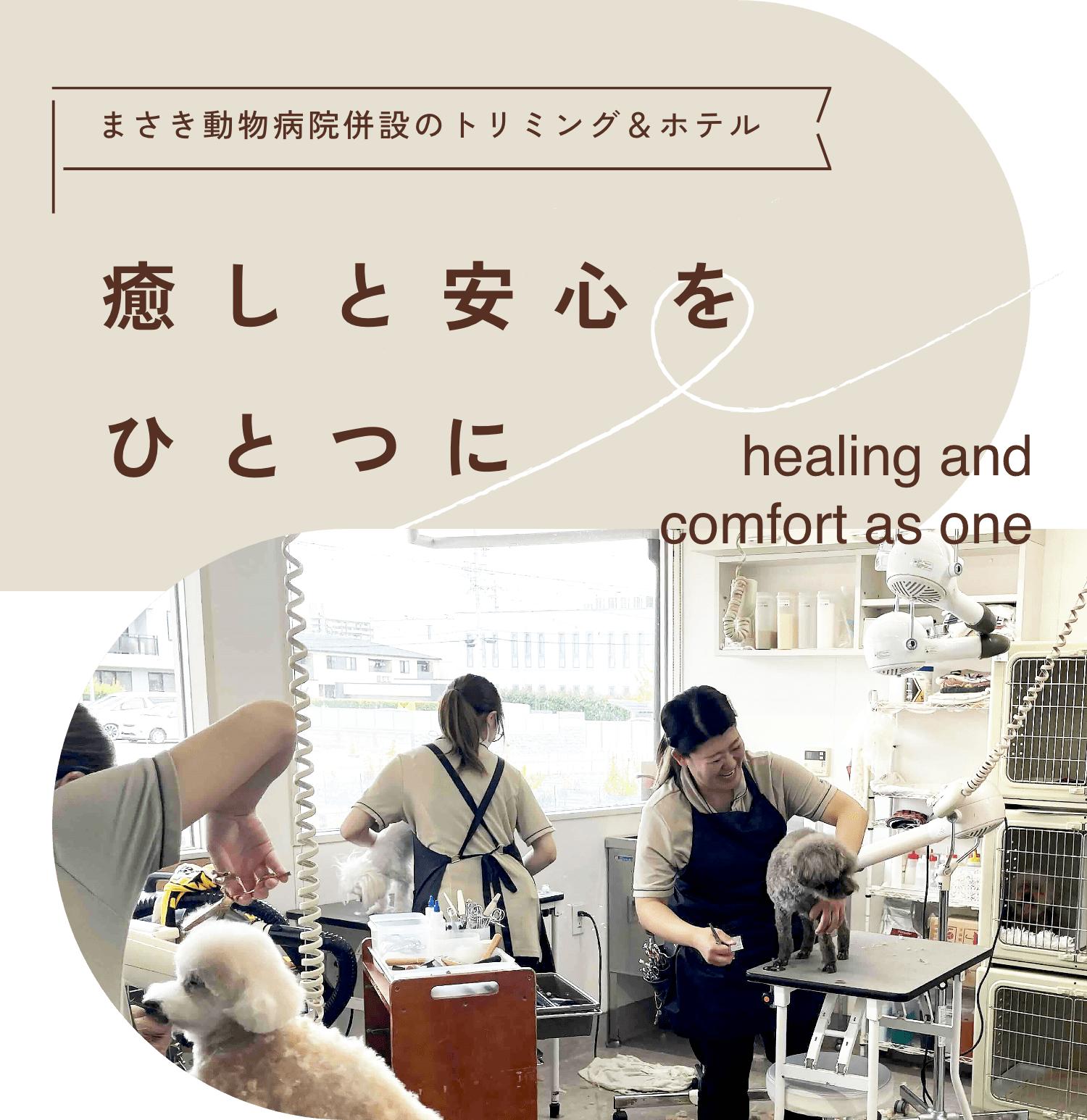 まさき動物病院併設のトリミング＆ホテル 癒しと安心をひとつに